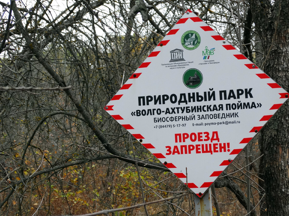 В обитель птиц от дороги можно добраться только пешком. Проезд любого транспорта, кроме специального, тут запрещён