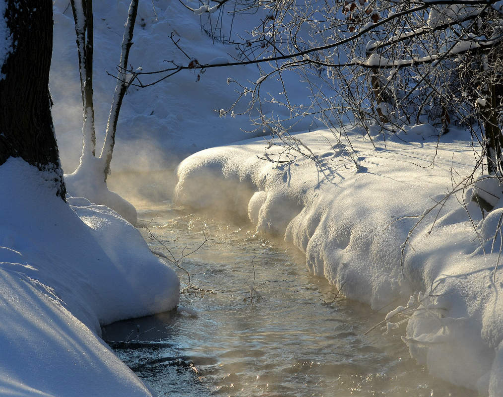 Подснежники в снегу. Снег на траве. Снег под снегом тает. Тает снег гиф. Снег под снегом тает.