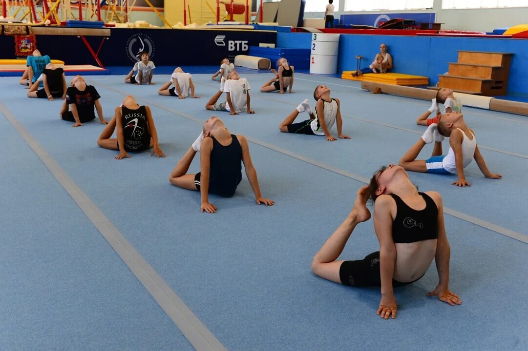 Спортивная гимнастика 24