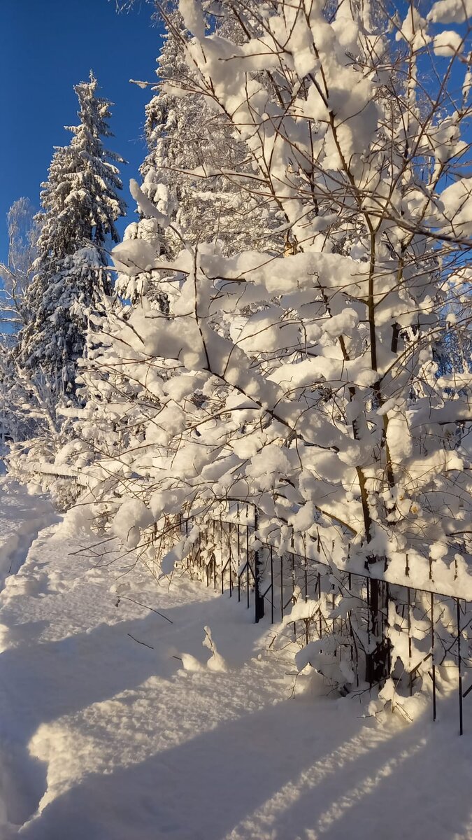 Пос. Токсово, Ленинградская область, фото автора