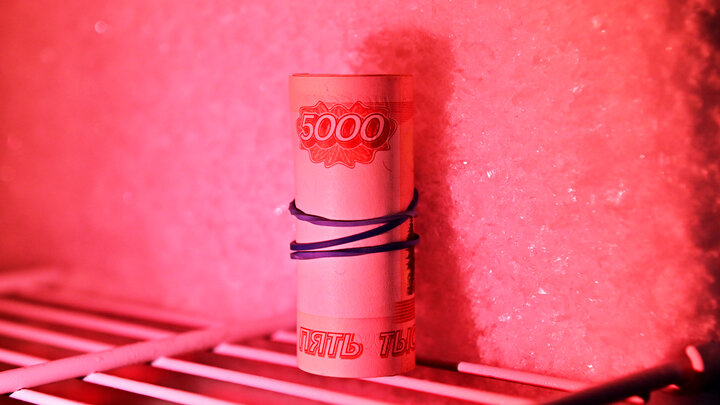 БАРАНОВ ВЛАДИМИР/GLOBALLOOKPRESS