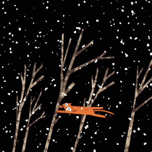 Фото из открытых источников. а именно :https://smartik.ru/krasnoyarsk/post/148219112