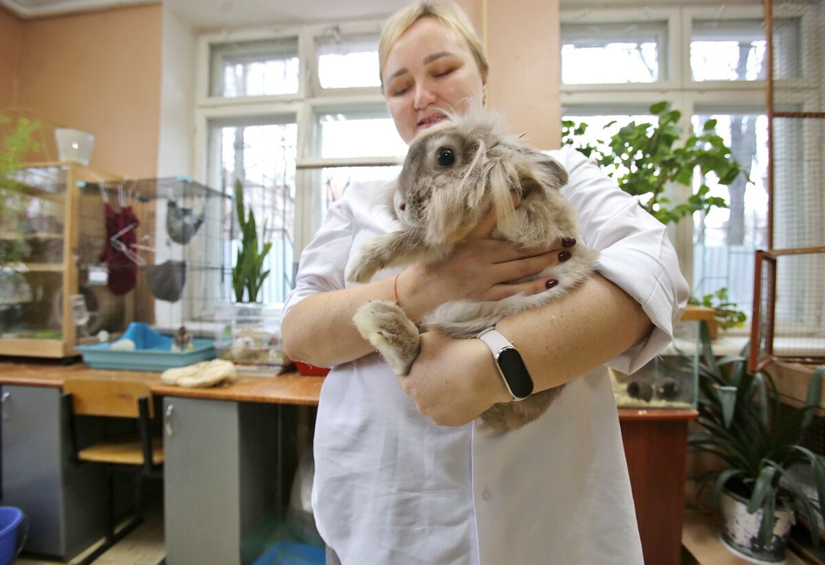    Эта крольчиха, что на руках у Натальи Аминевой, — настоящая мать-героиня: выкормила пять родных малышей и четырёх приёмных
