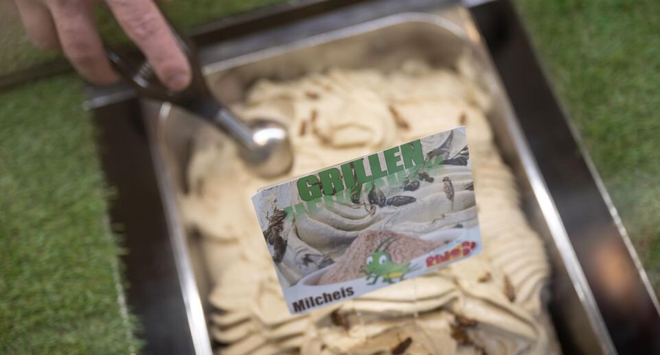     Владелец кафе в Германии Томас Миколино накладывает сверчковое мороженое, частично состоящее из муки из насекомых и украшенное сушеными сверчками. Фото: Marijan Murat/Global Look Press