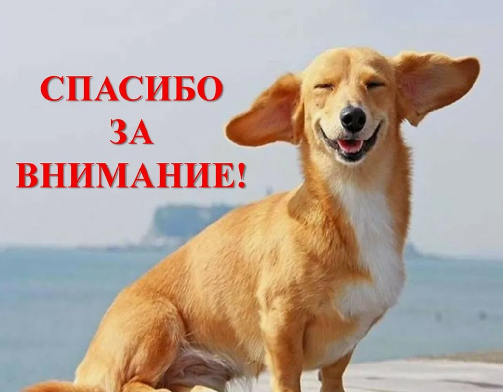 Собака моей мечты! презентация, доклад
