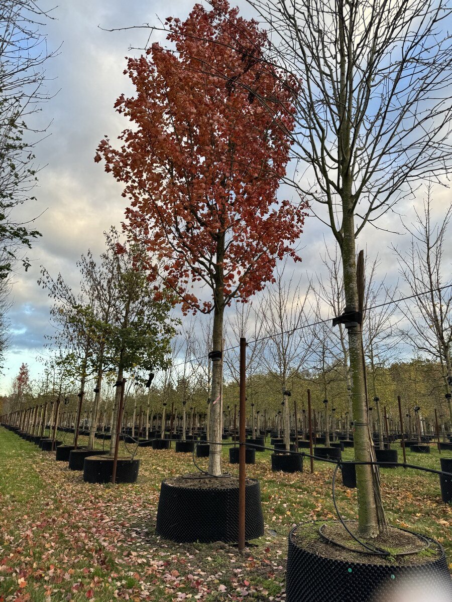 Крупномеры под заказ от Студии ART Story