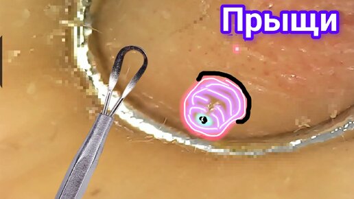 Как японки умудряются выглядеть так молодо? 6 восточных хитростей Путешествия, т