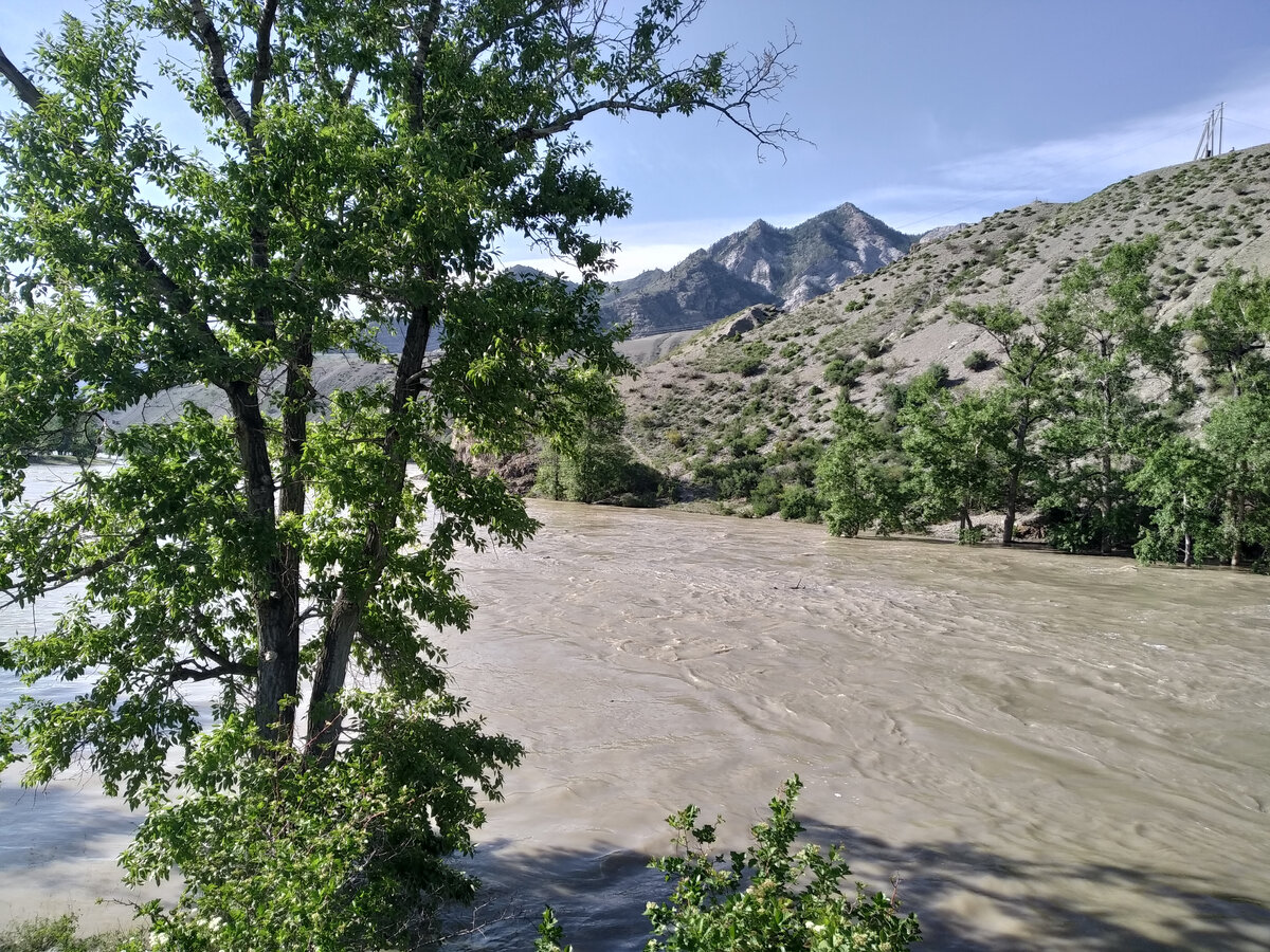 Вот такая вода, кажущаяся грязной