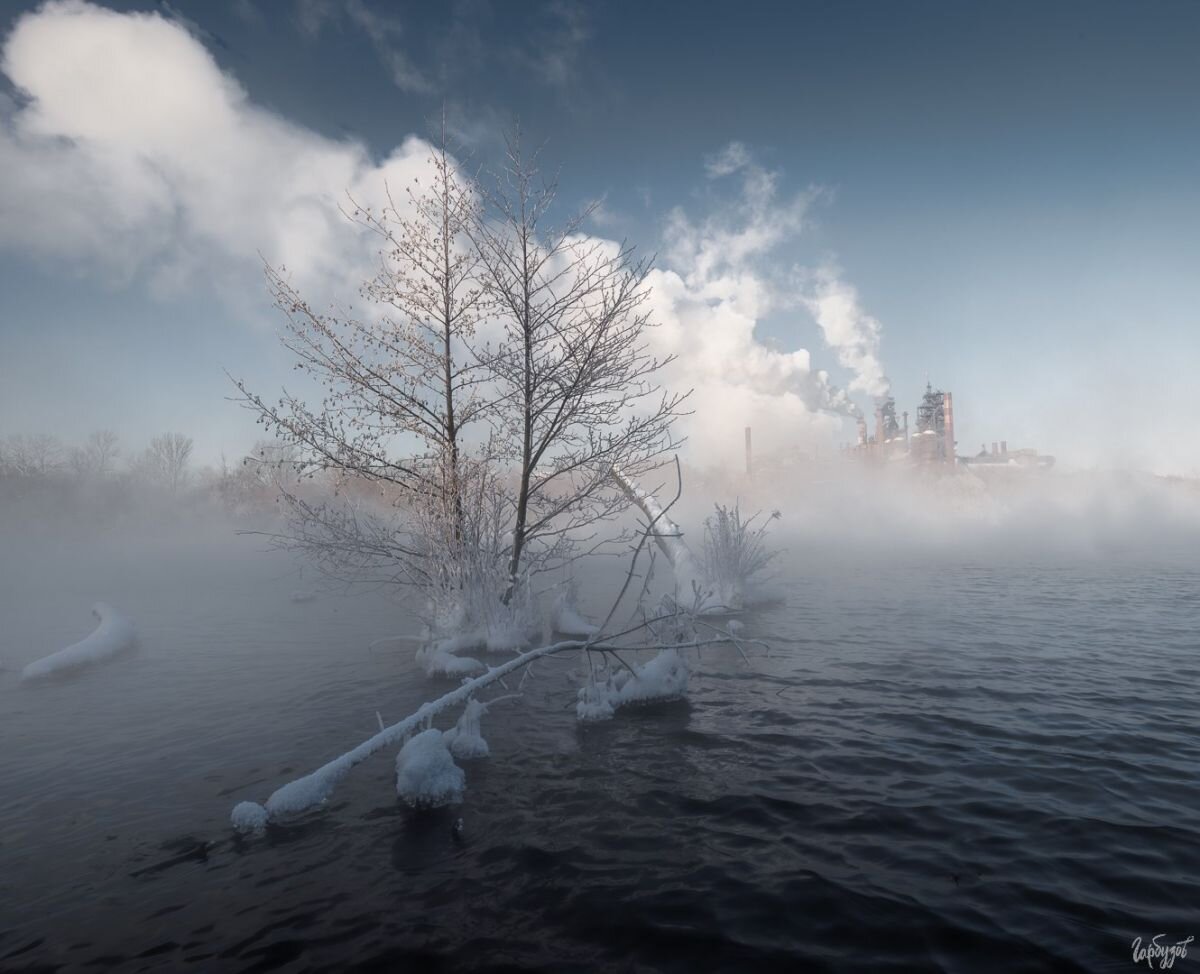 Тульский фотограф Илья Гарбузов запечатлел зимнюю реку Воронка | «Тульские  новости» | Дзен