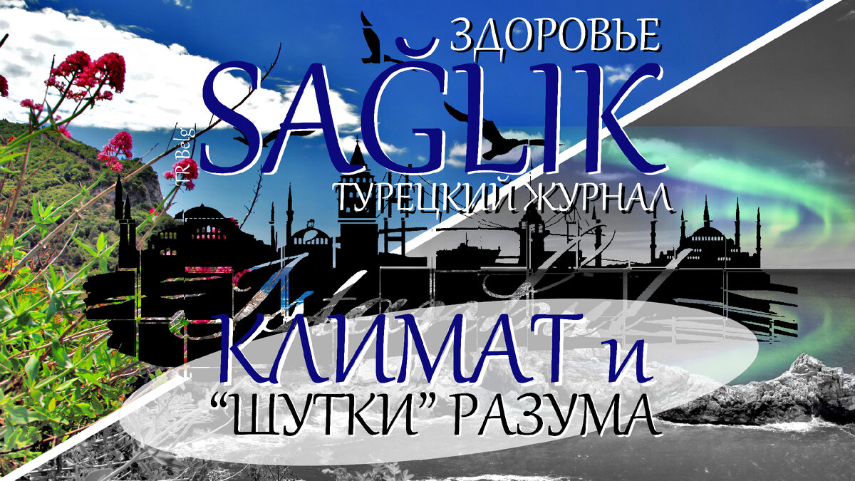 переводные статьи из турецких журналов о взглядах на жизнь и ее проблемы
