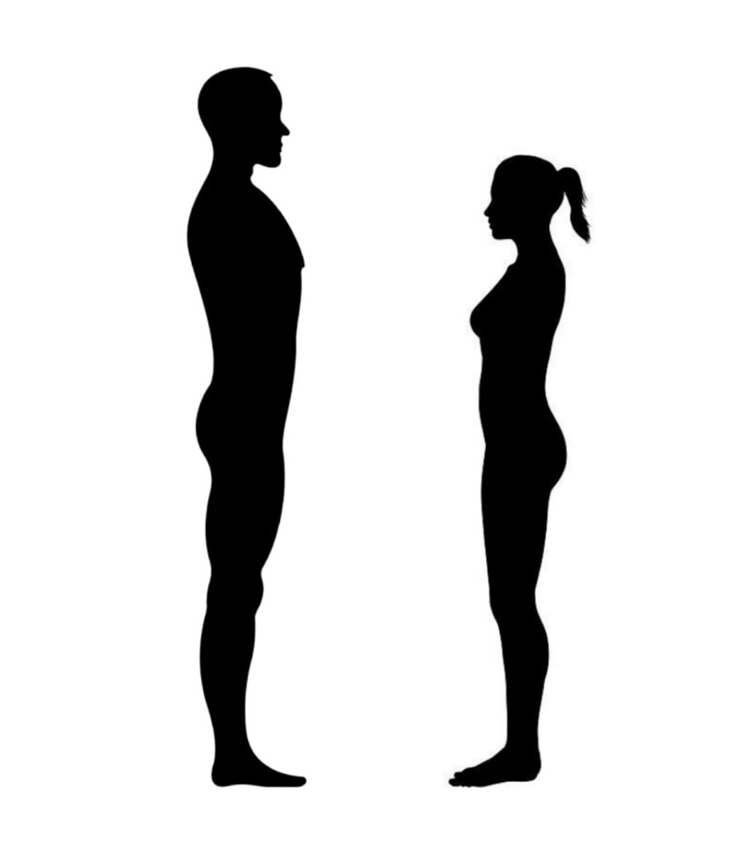 Коллаж автора, исходники из интернета