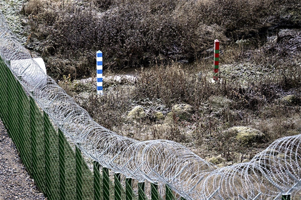    Макгрегор: США пытаются с помощью Финляндии спровоцировать конфликт с РФ