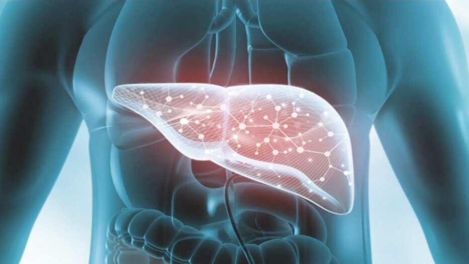 Печень очень влияет на наше самочувствие 