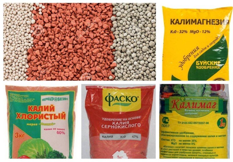 Калийные удобрения: важность и виды подкормок для успешного роста ...