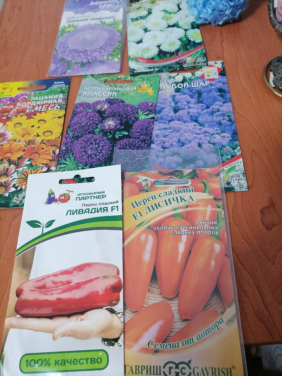 Последнее поступление семян, фото автора