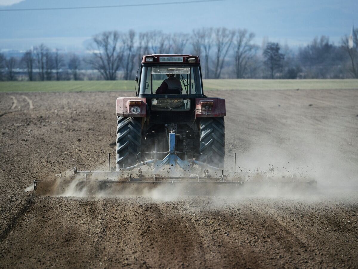    Трактор на поле в Германии© AP Photo / dpa, David Ebener
