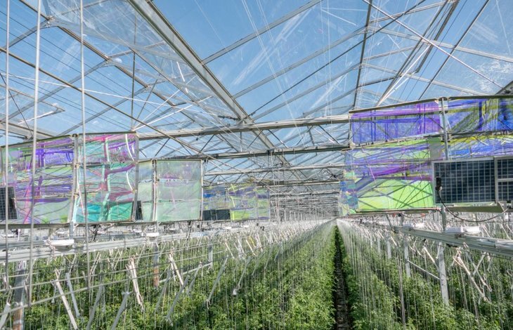    Агрофотоэлектроника для теплиц: дихроичные зеркала