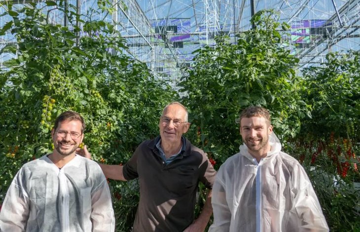     Агрофотоэлектроника для теплиц: дихроичные зеркала
