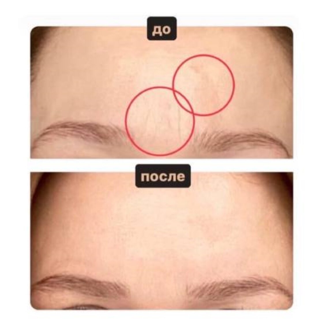 Номерной знак трактора. Наклейка номер на машину. Квадратный гос номер. Номерные знаки америки. Наклейка нету на номер авто.