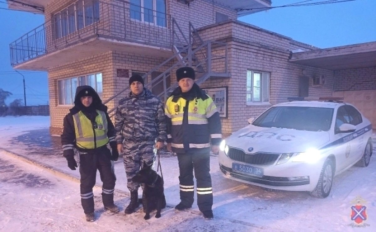    В Волгограде полицейские спасли ребенка, доставив через пробки в больницу