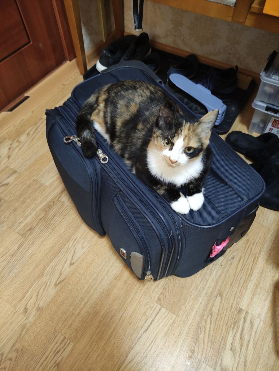 А не пора ли вам с вещами на выход...