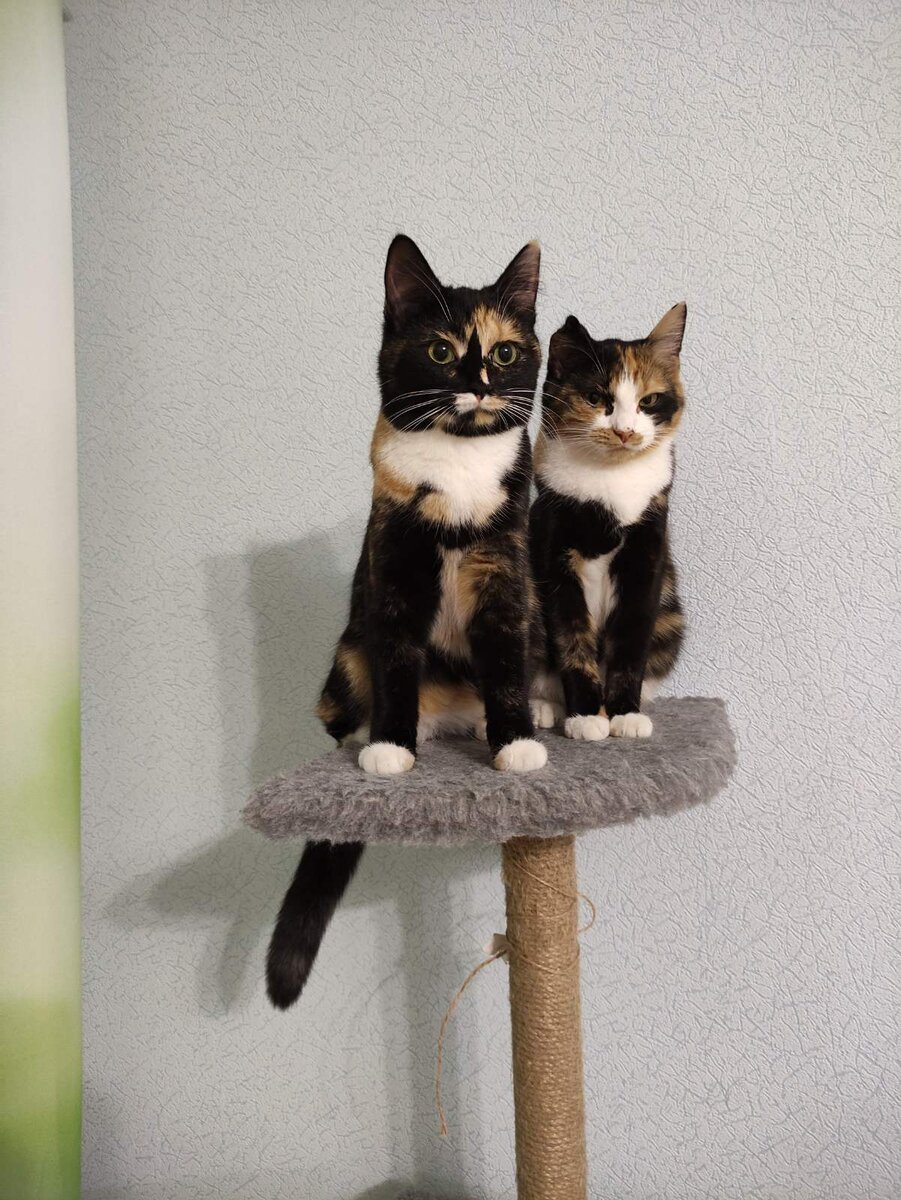 Подозрительно это все... Никуда не собираетесь?