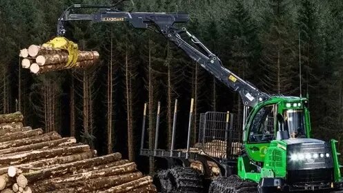 Красноярский край занял второе место по лесозаготовкам в 2023 году. Фото: runews24.ru