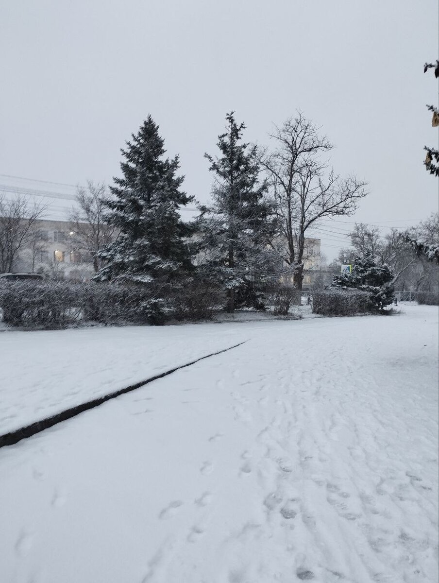 по дороге в магазин