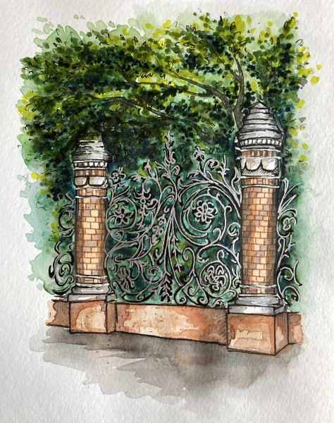 Иллюстрации: Светлана Григорьева