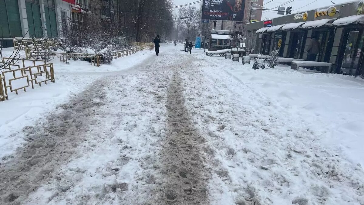 Снежный апокалипсис: страшную погоду принесут 25-градусные морозы в Ростов  | RostovGazeta.ru | Дзен