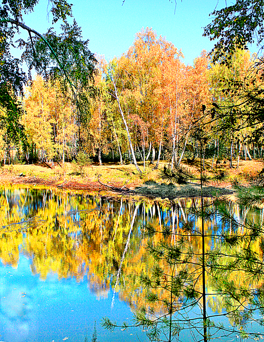 Фотография, стихотворение Василия Глуцкого
