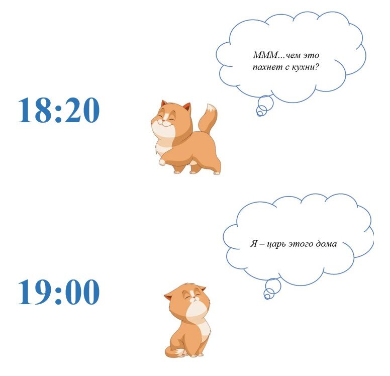 Семь дней режим. Семь дней режим
