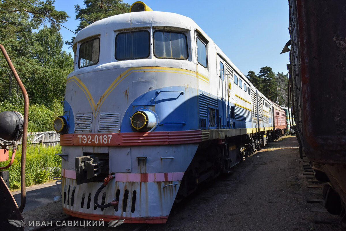 ТЭ2-187 зажат ржавыми предками.