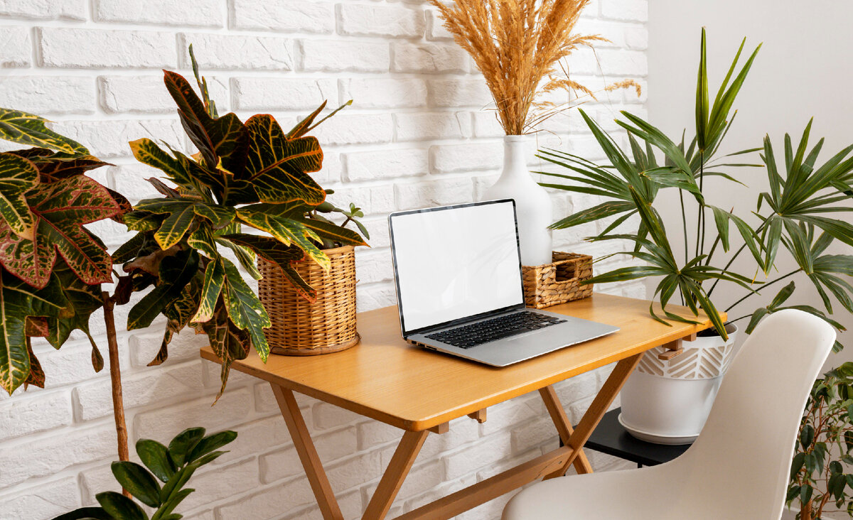 Изображение от <a href="https://ru.freepik.com/free-photo/high-angle-laptop-on-table-with-plants_20081903.htm#query=%D1%80%D0%B0%D0%B1%D0%BE%D1%87%D0%B5%D0%B5%20%D0%BC%D0%B5%D1%81%D1%82%D0%BE%20%D0%B4%D0%BE%D0%BC%D0%B0&position=5&from_view=search&track=ais&uuid=5d4b8b0f-e1d1-446b-9f50-3f17f7f6c062">Freepik</a>