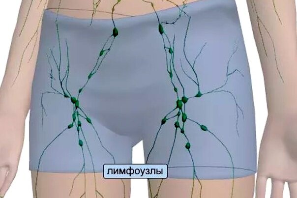 Влияние опущенной диафрагмы на организм | Faceguru | Дина Писаревская ...