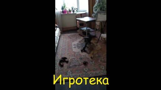 Игротека