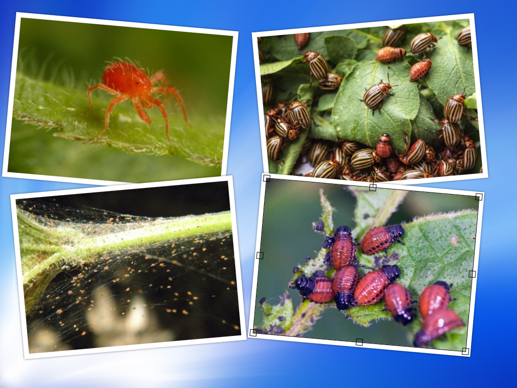 от таких надо избавляться 