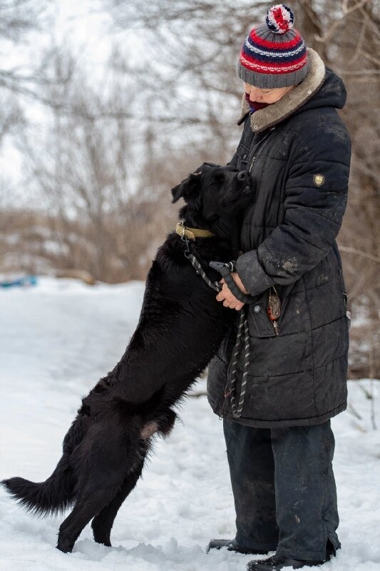 Верный в Волжском приюте Уголек