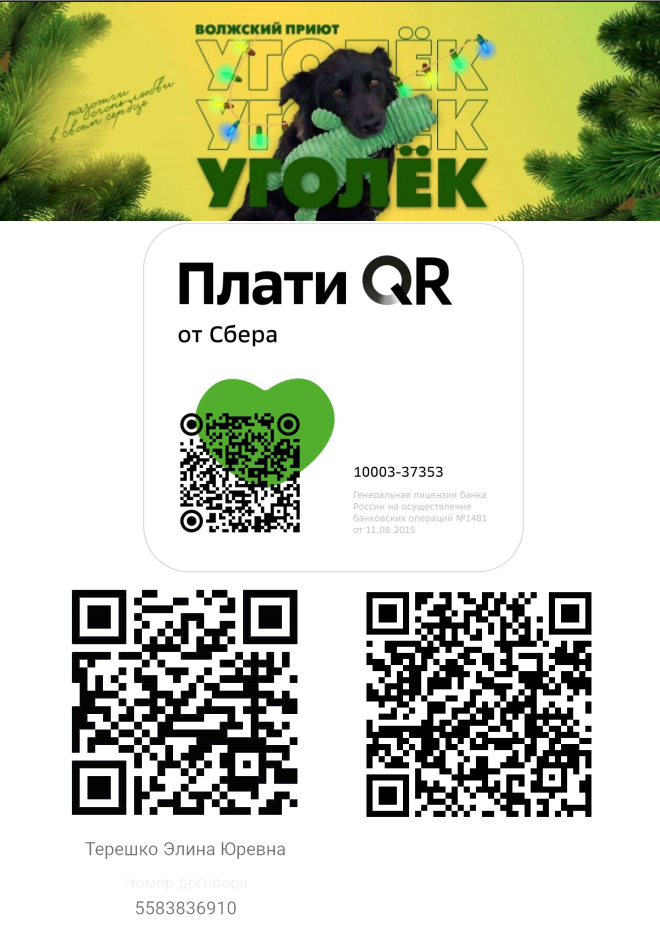 Приют уголек