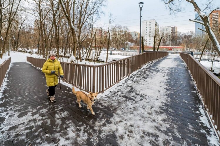    Фото: Комплекс городского хозяйства Москвы