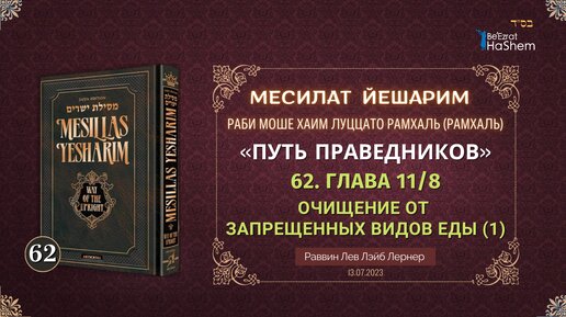 (13.07.) Месилат Йешарим | Урок 62 | Глава 11.8 | Очищение от запрещенных видов еды (1) | Рабби Лев Лэйб Лернер