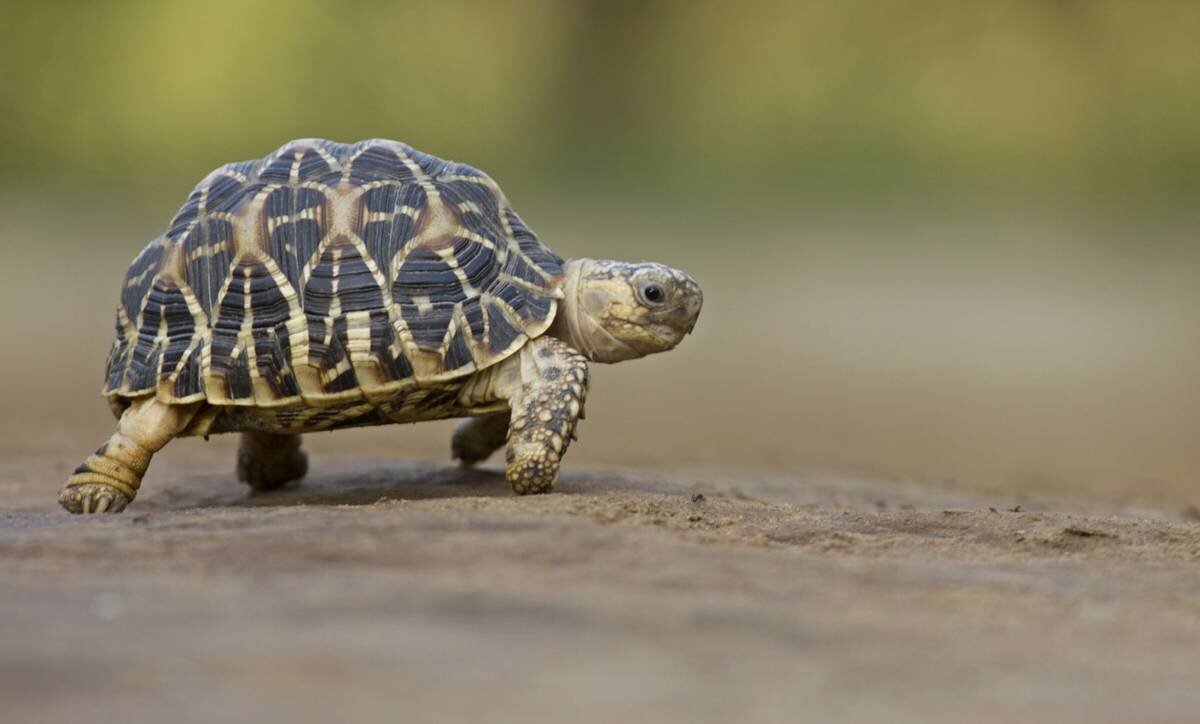    Фото: Shutterstock