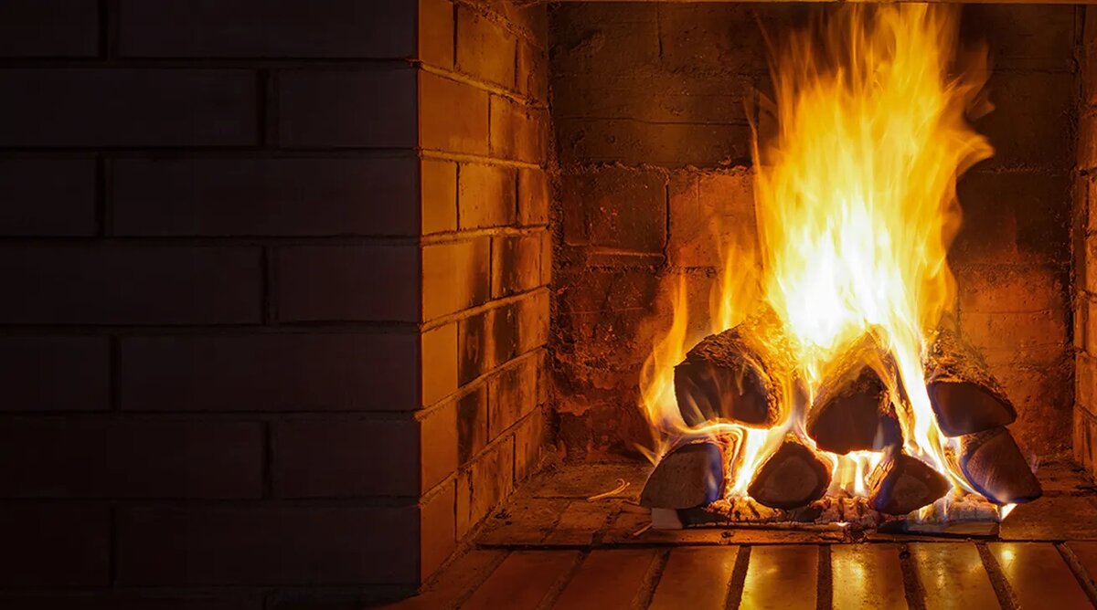 Источник: shutterstock.com