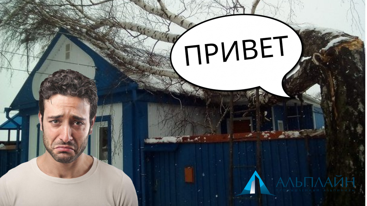 ⚡ Что нужно сделать, чтобы авариийное дерево не упало на ваш дом? 🏡 |  Альплайн | Промышленный альпинизм | Дзен