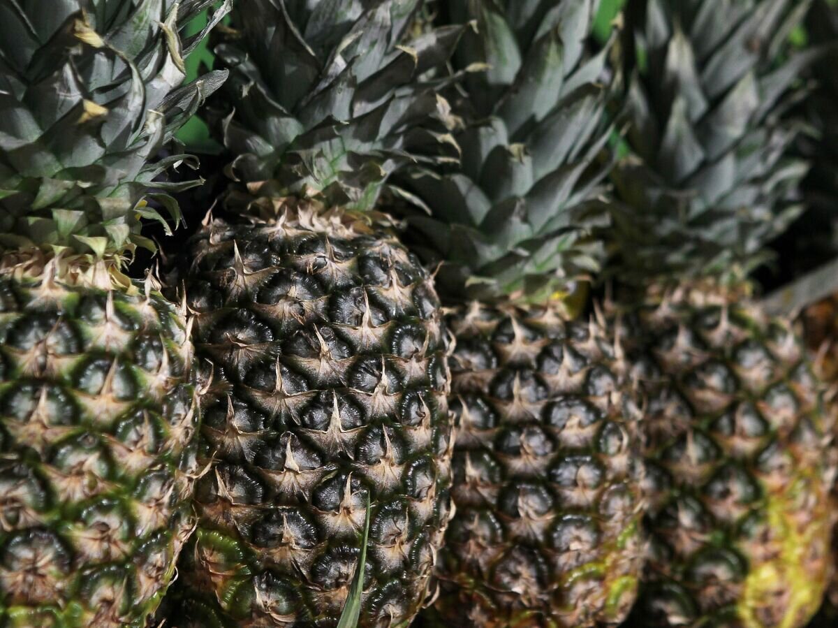    Ананасы© РИА Новости / Мария Девахина
