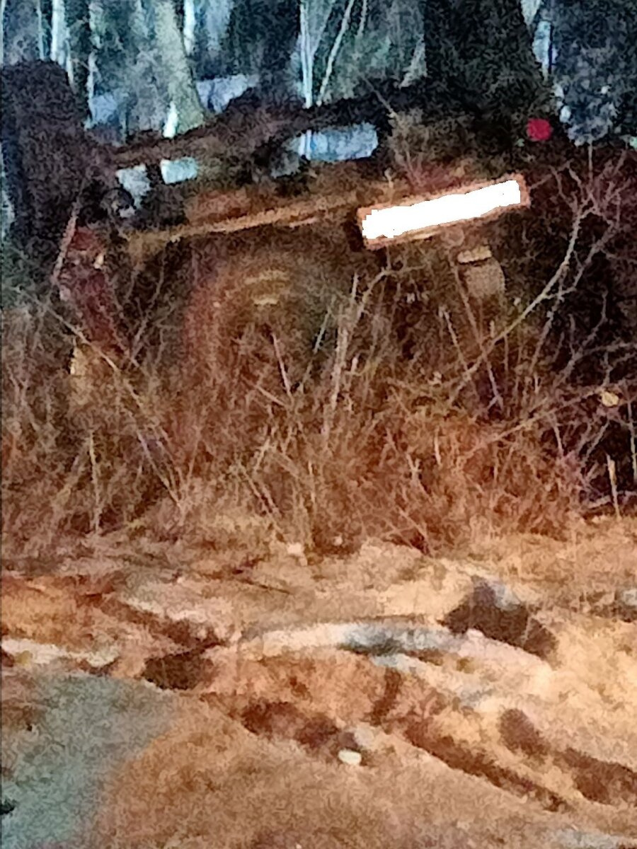    Фото: Очевилец   📷   Фото: Очевидец   📷   Фото: Очевидец