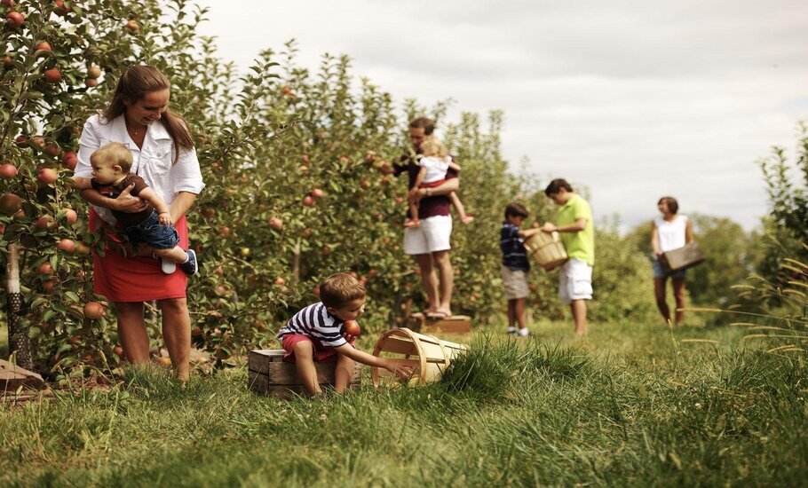 Ставьте лайк, если вам понравилась публикация. Подписывайтесь на канал и будьте в курсе отраслевых событий.