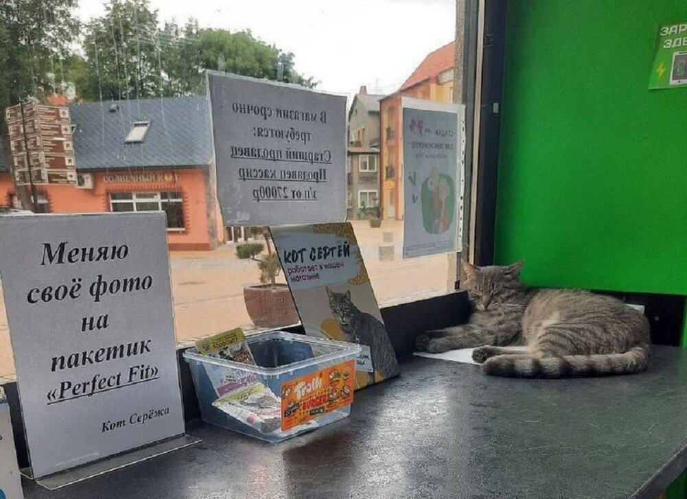 Источник: t.me
