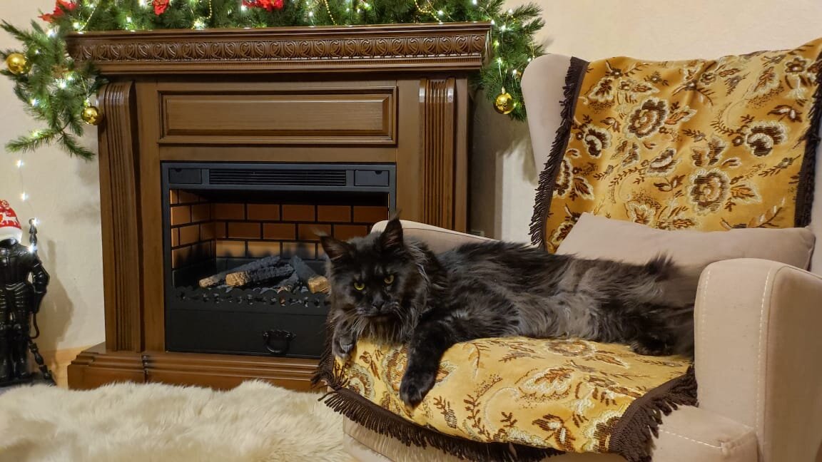 Наш выпускник в новом доме