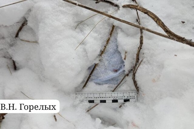    Место, где нашли ребёнка. Фото: Валерий Горелых